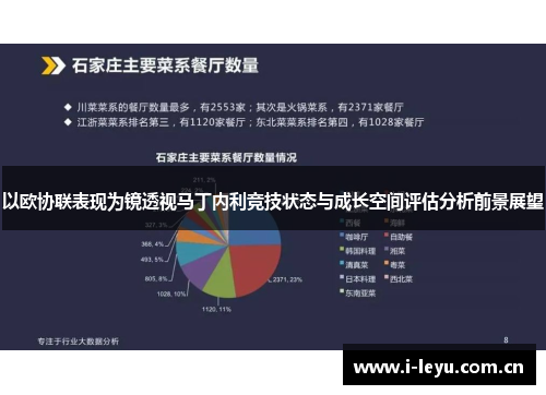 以欧协联表现为镜透视马丁内利竞技状态与成长空间评估分析前景展望